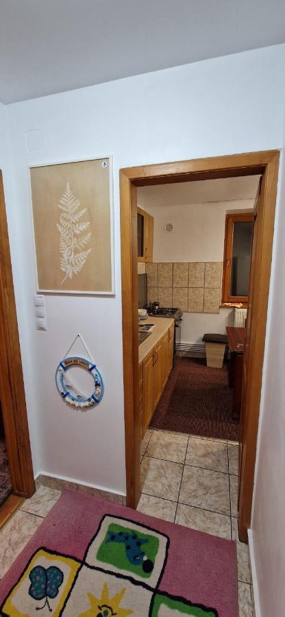 Anastasia. Appartement Tulcea Buitenkant foto